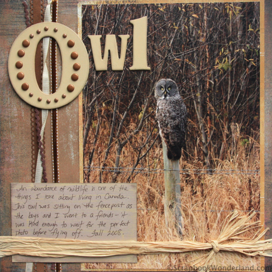 Owl scrapbook layout featuring a large 8x10 vertical photo, raffia, ribbon and brads.